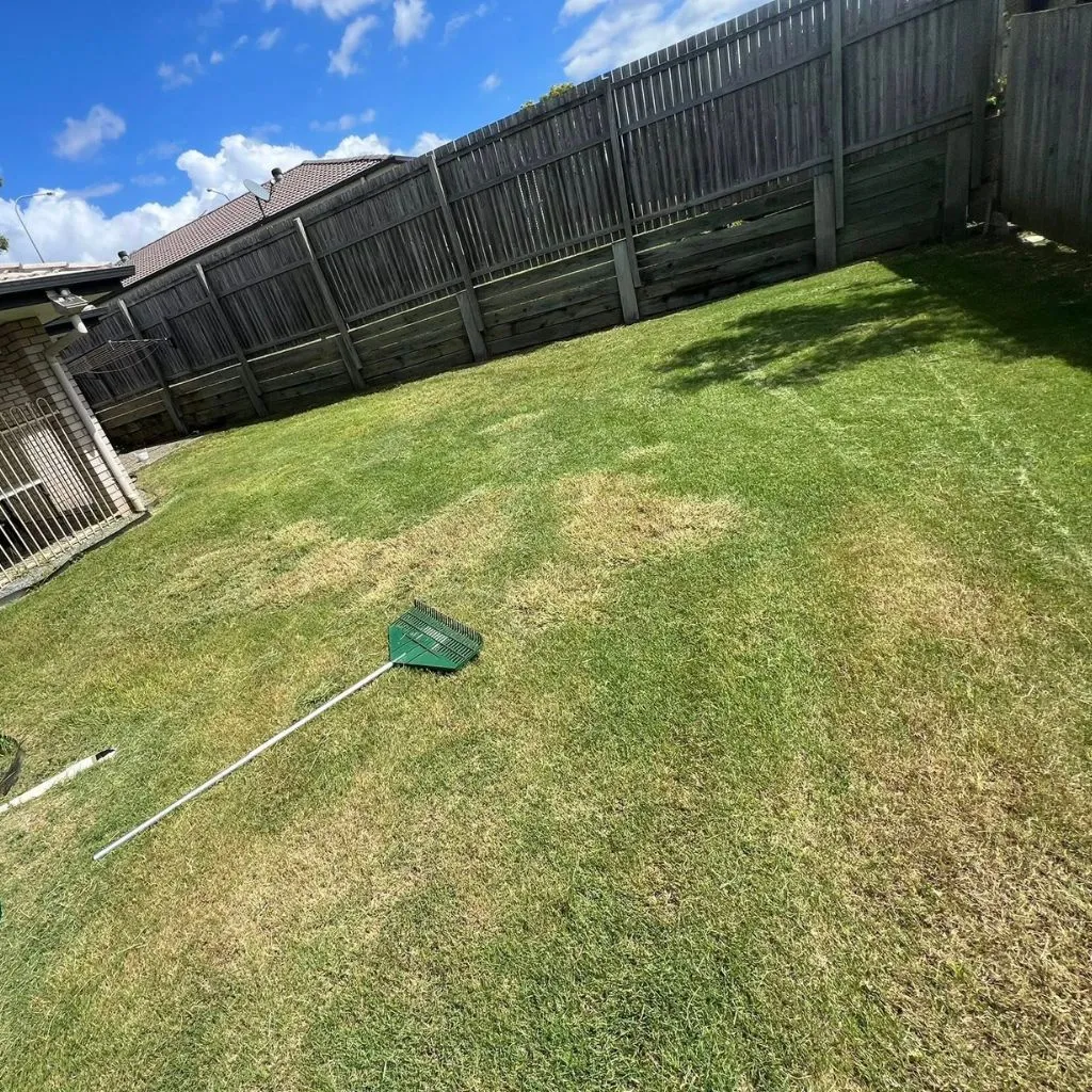 backside-yard-cleanup-image