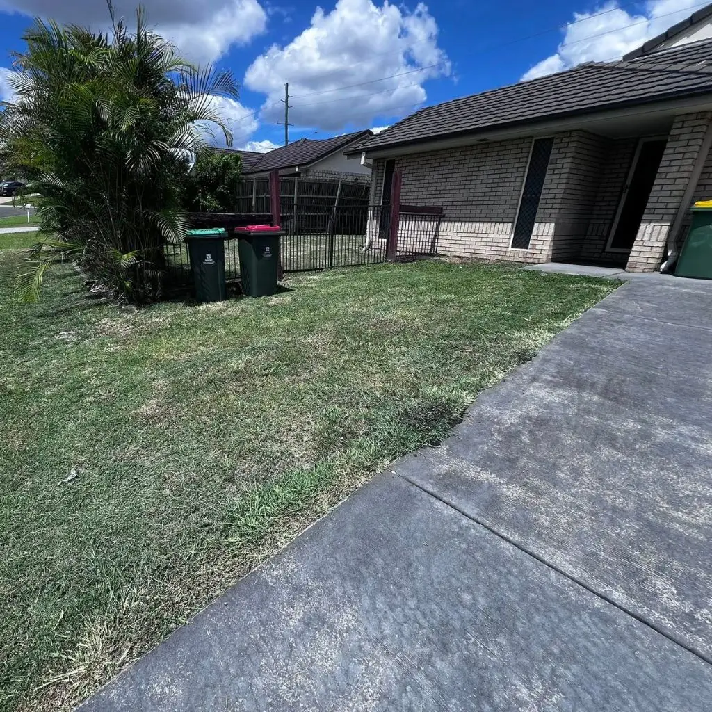 cleaned-front-lawn-image
