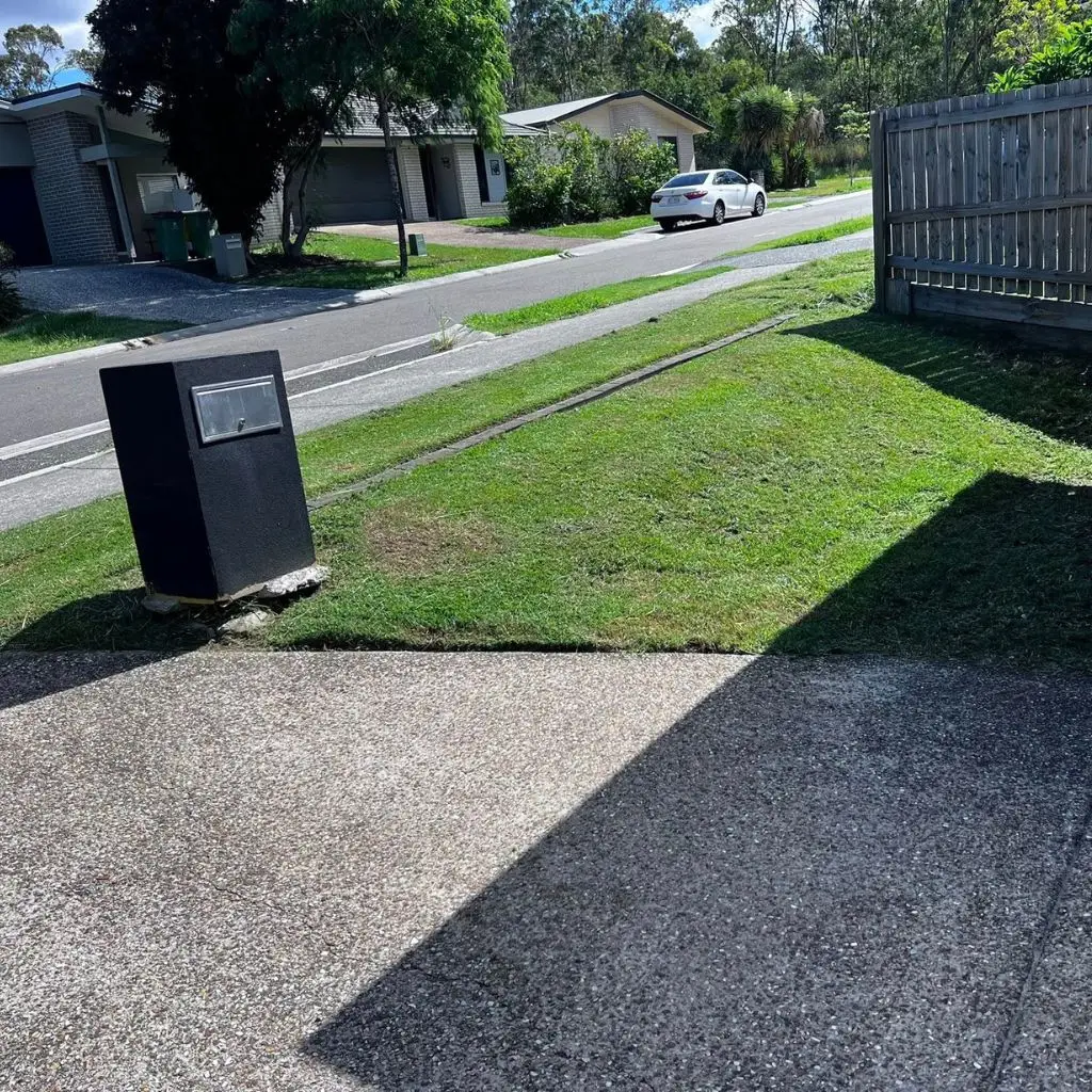 front-lawn-free-from-wastes-image