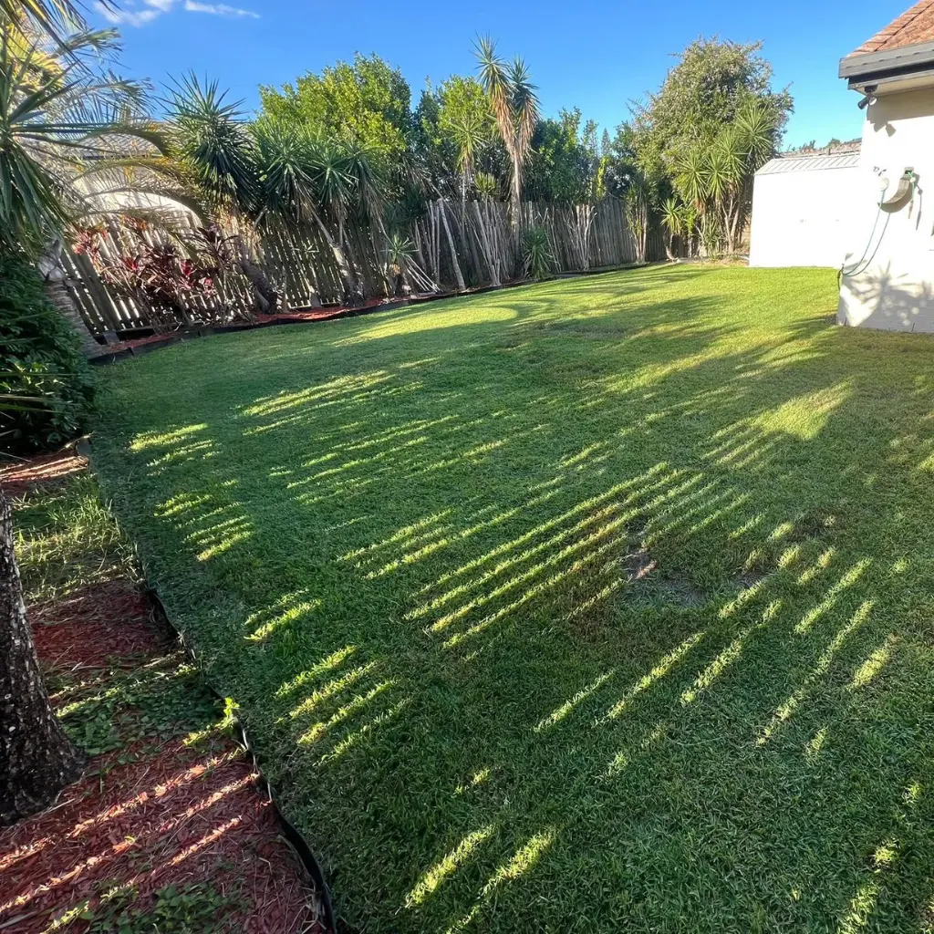 lawn-mowed-backyard-image
