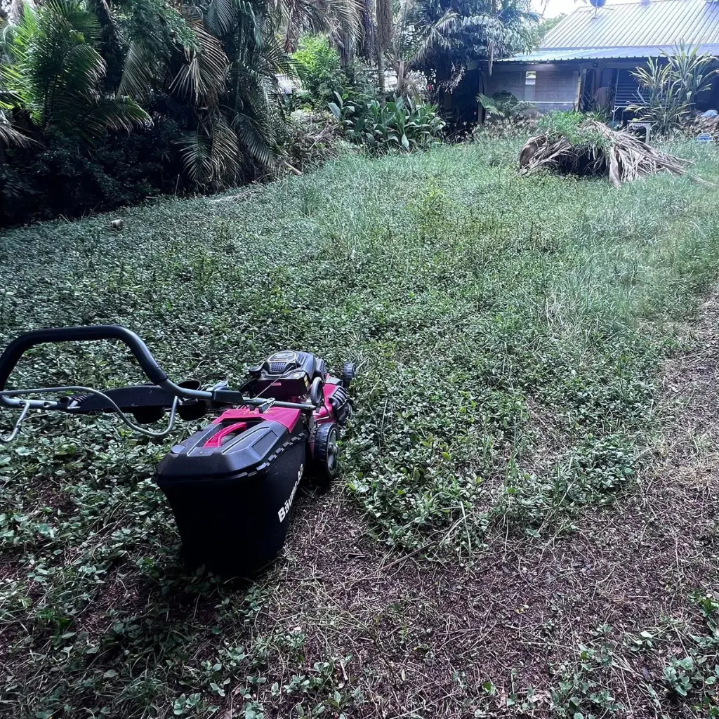 lawn-mowing-machine-image