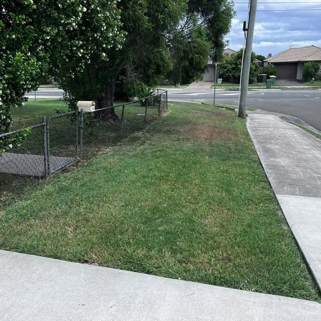 side-road-lawn-image